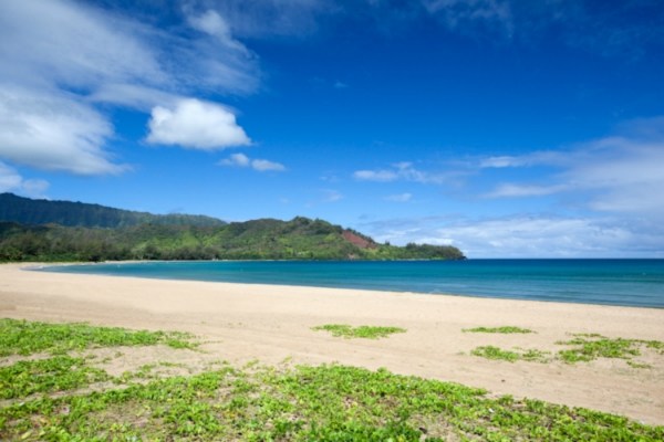 5131 Weke Road Hanalei, HI 96714 - Photo 7 of 9 Gallery Image 7