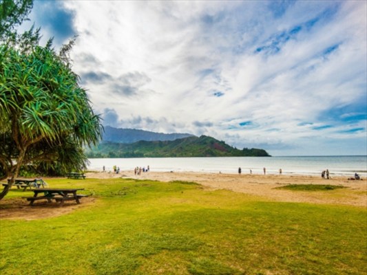 5131 Weke Road Hanalei, HI 96714 - Photo 9 of 9 Gallery Image 9