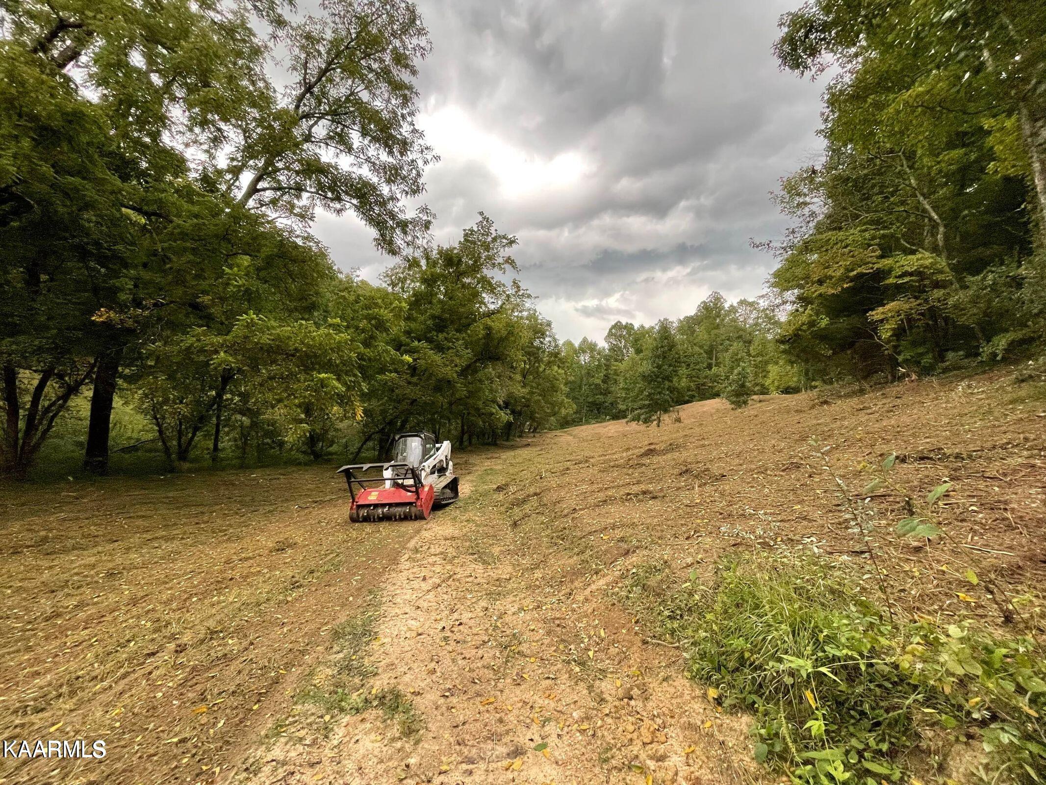 Earls Hollow Road Speedwell, TN 37870 - Photo 5 of 15 20211230222306459360000000-o