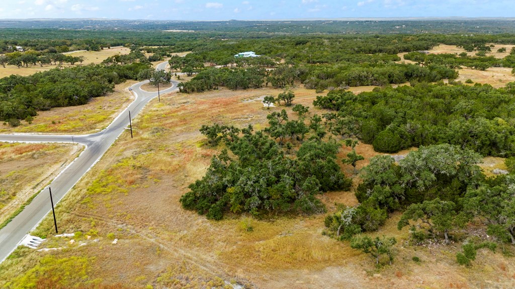 701 Windmill Ridge, Unit 90 Blanco, TX 78606 - Photo 16 of 32