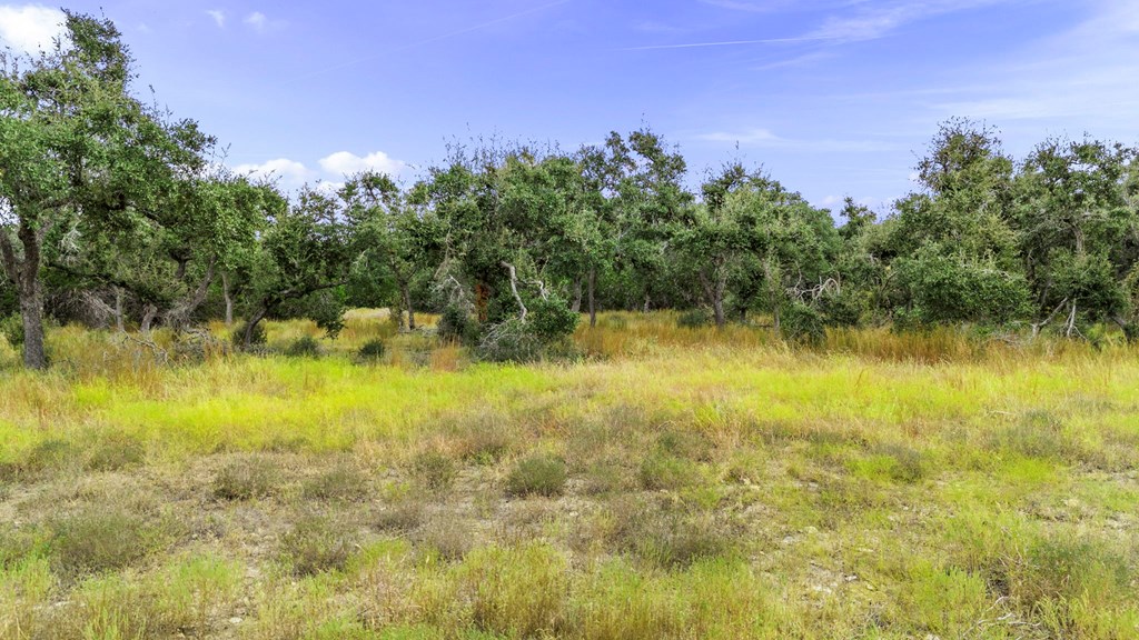 701 Windmill Ridge, Unit 90 Blanco, TX 78606 - Photo 25 of 32