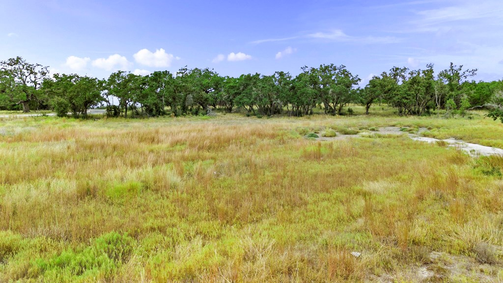 701 Windmill Ridge, Unit 90 Blanco, TX 78606 - Photo 26 of 32