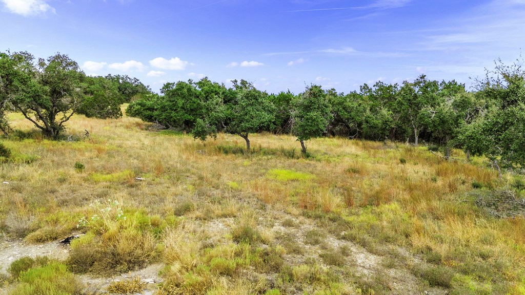 701 Windmill Ridge, Unit 90 Blanco, TX 78606 - Photo 27 of 32