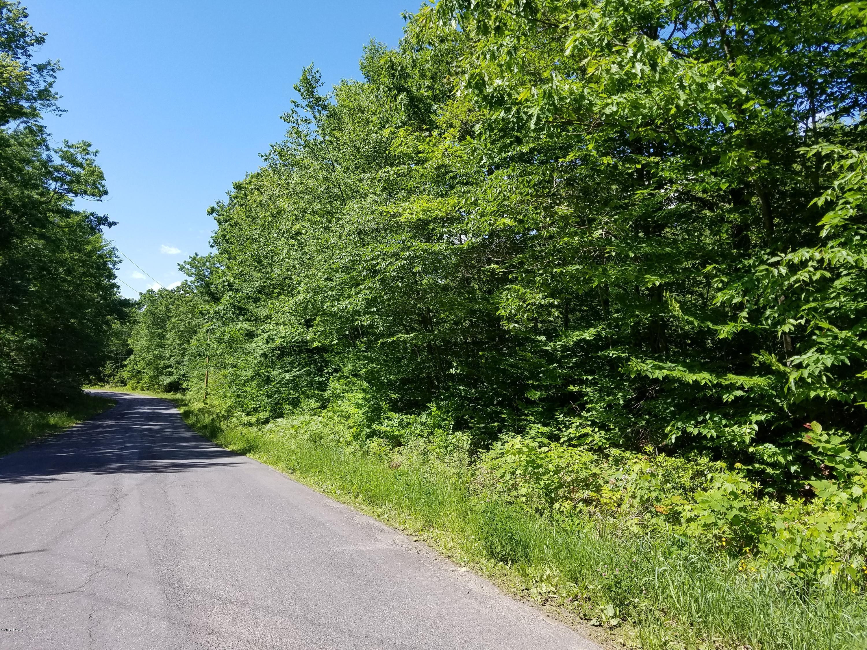 Columbia Lake Road Deposit, NY 13754 - Photo 4 of 5