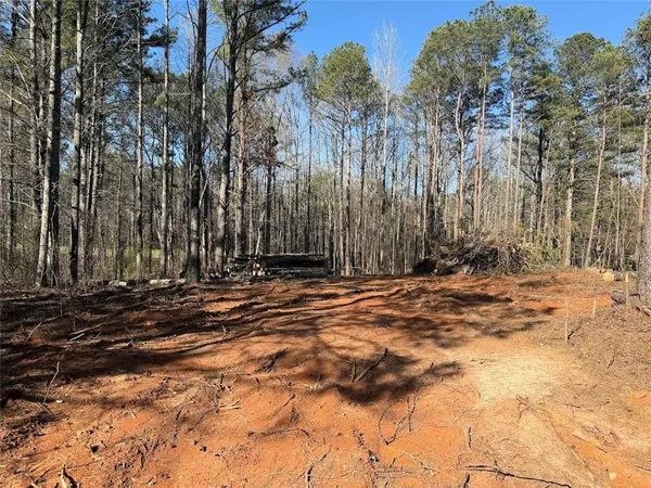 a view of a backyard of the house
