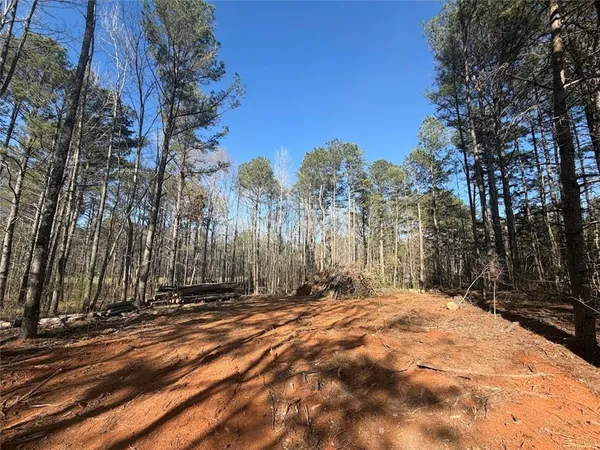 a view of outdoor space with trees