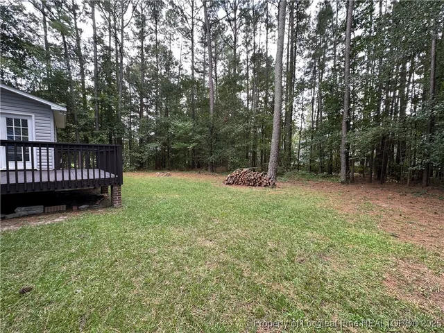 a view of backyard with deck and a garden
