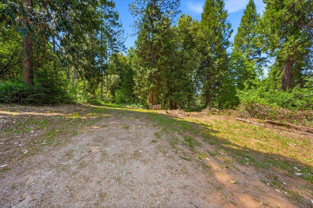 19643 Sages Road Nevada City, CA 95959 - Photo 25 of 39 a view of outdoor space with trees all around