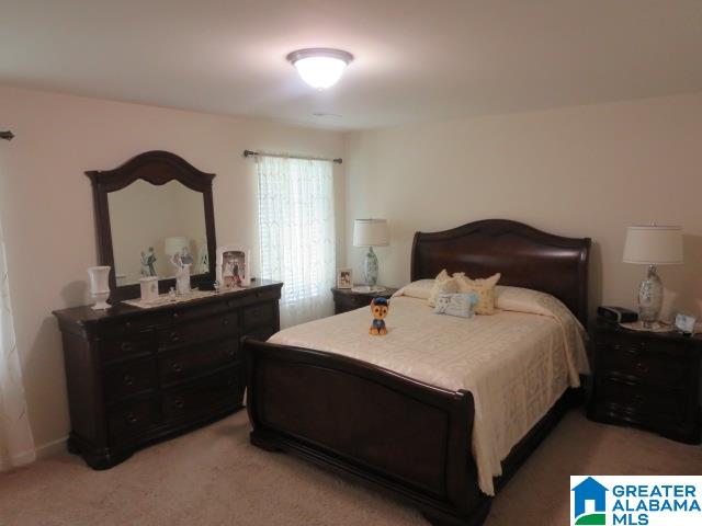 149 Chesser Reserve Drive Chelsea, AL 35043 - Photo 8 of 12