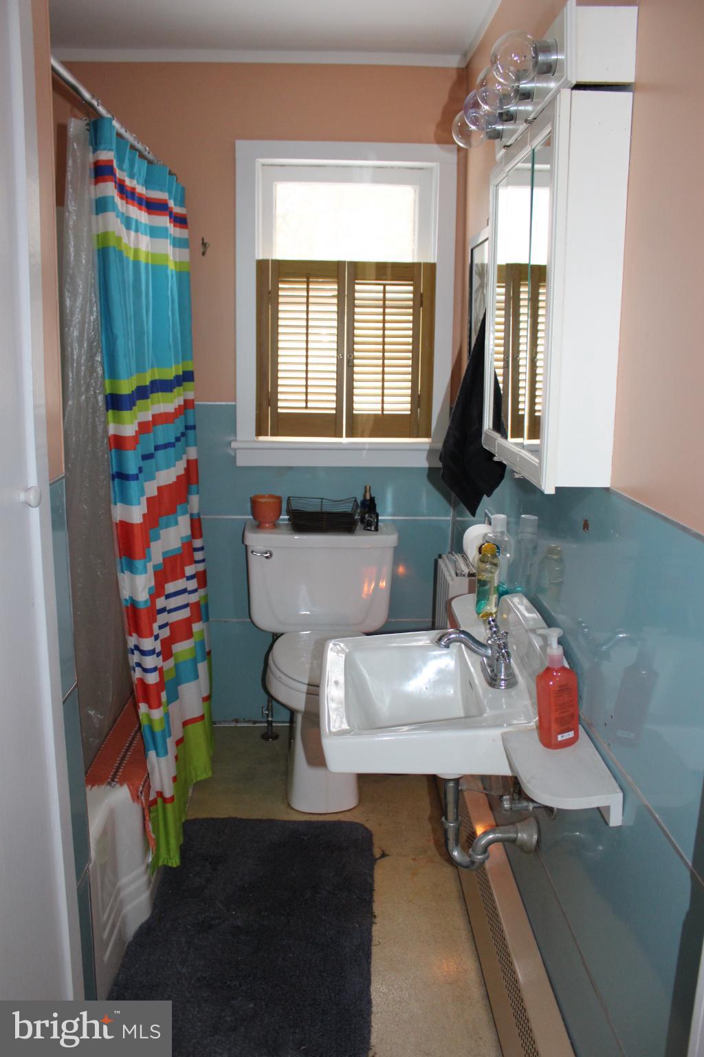 1839 Trevorton Road Coal Township, PA 17866 - Photo 15 of 26 Vibrant bathroom with playful decor accents.