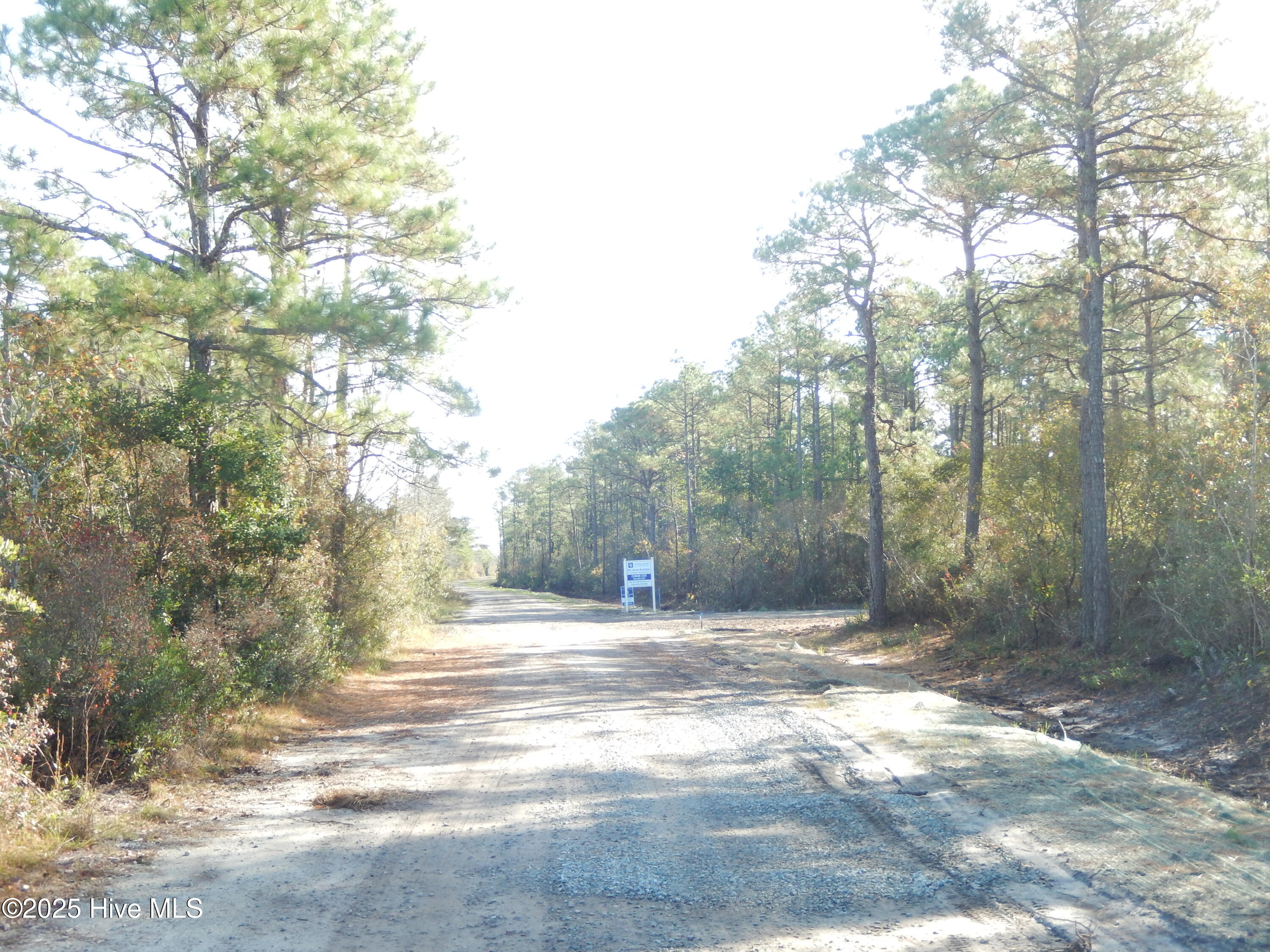 7600 Plantation Road Wilmington, NC 28411 - Photo 3 of 17 View of land approaching on Plantation Road from Service Rd off of Military Cutoff Extension