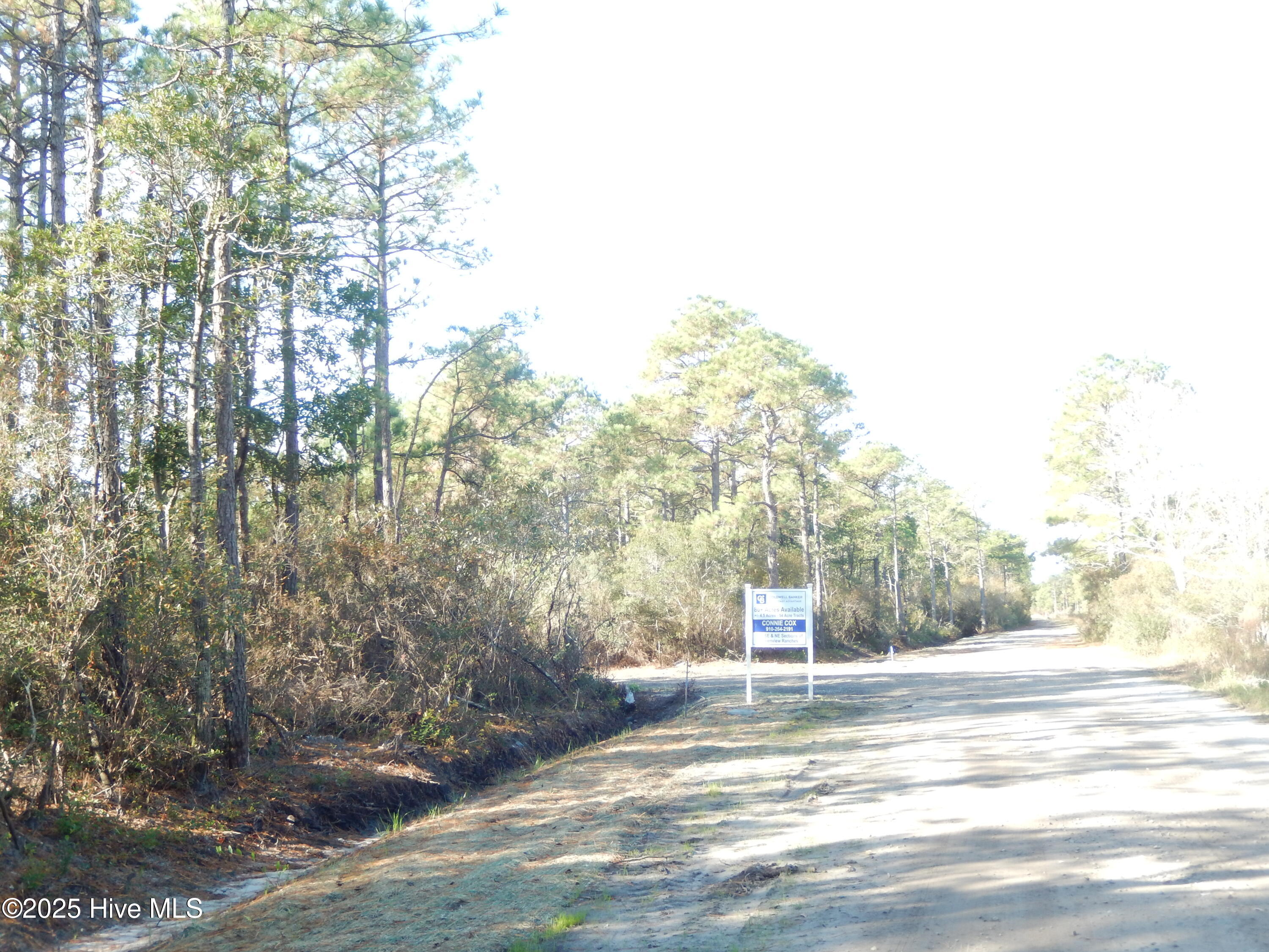 7600 Plantation Road Wilmington, NC 28411 - Photo 4 of 17 View of land approaching Plantation Road from east of Yvonne Rd intersection