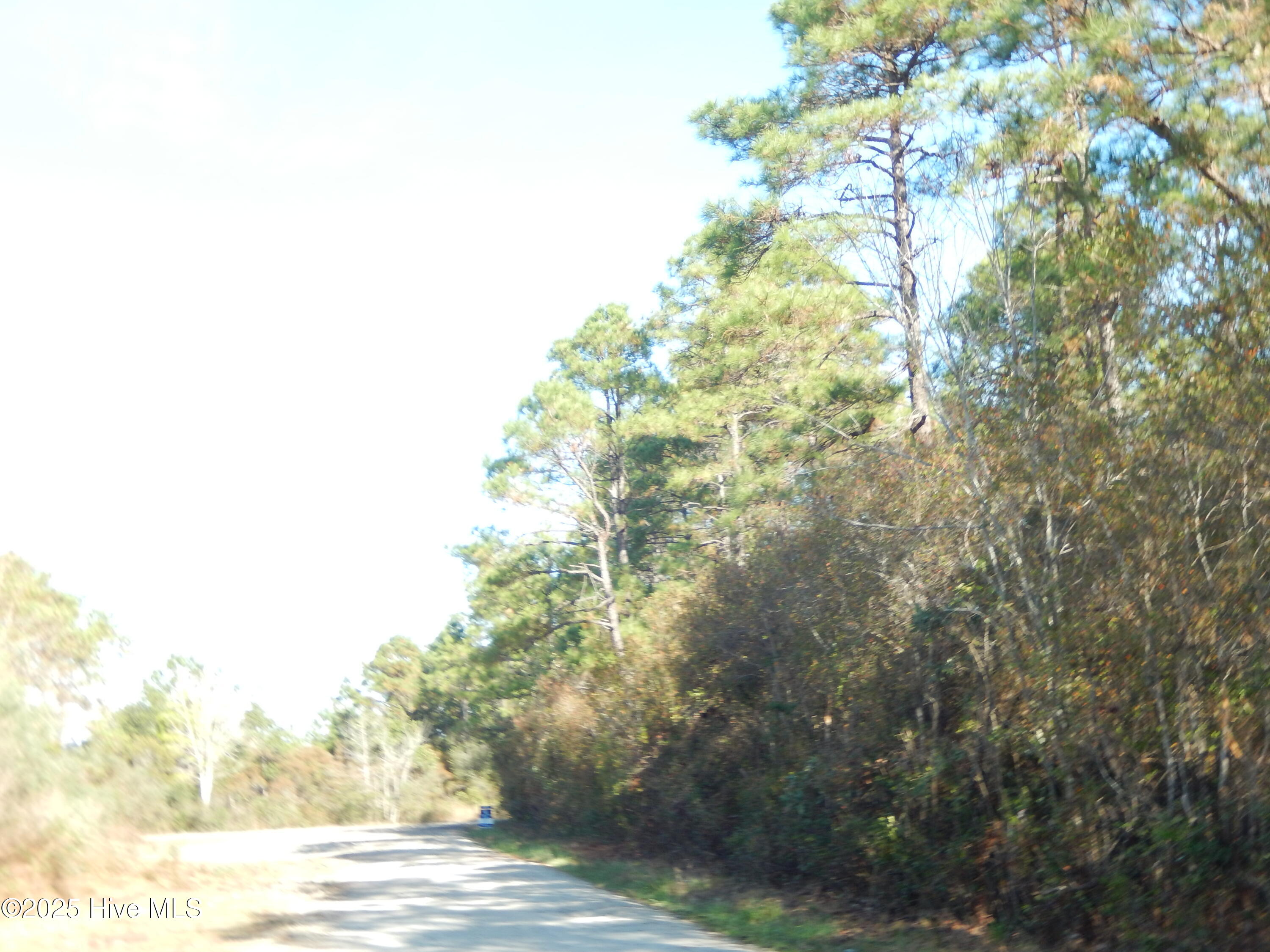 7600 Plantation Road Wilmington, NC 28411 - Photo 5 of 17 View of land from Yvonne Road