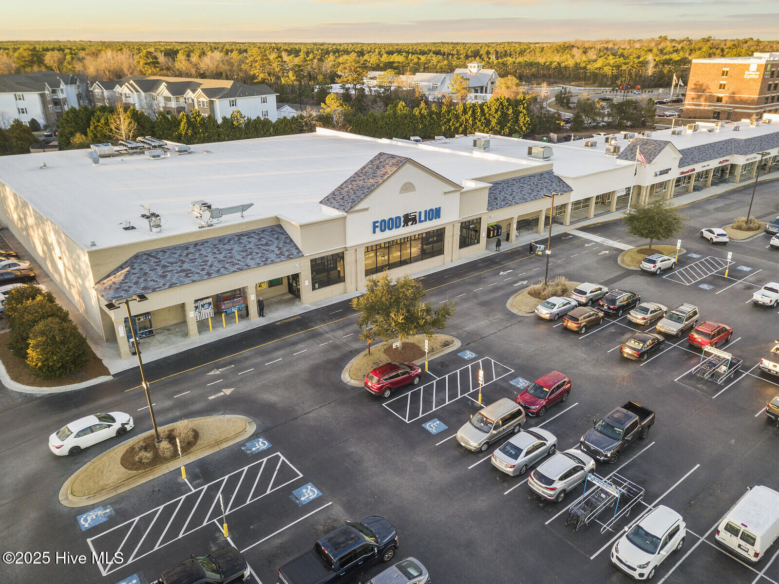 7600 Plantation Road Wilmington, NC 28411 - Photo 7 of 17 Porters Neck Food Lion