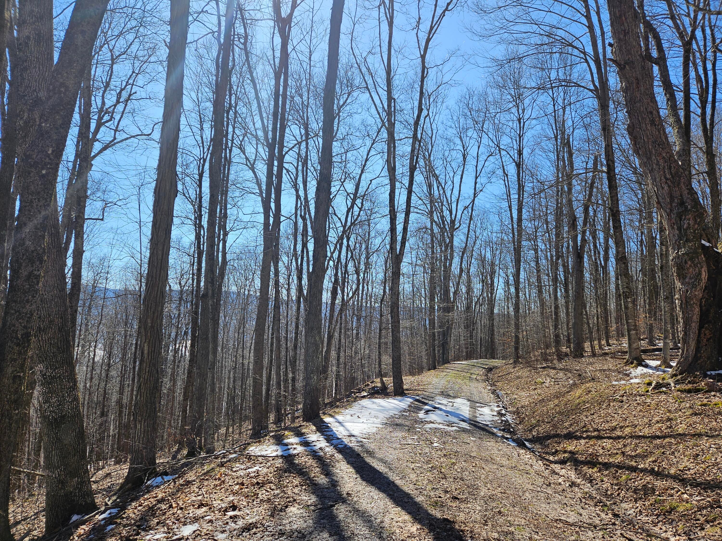 Lot 8 Upper Cherry Grove Road Slatyfork, WV 26291 - Photo 20 of 22 Gallery Image 20