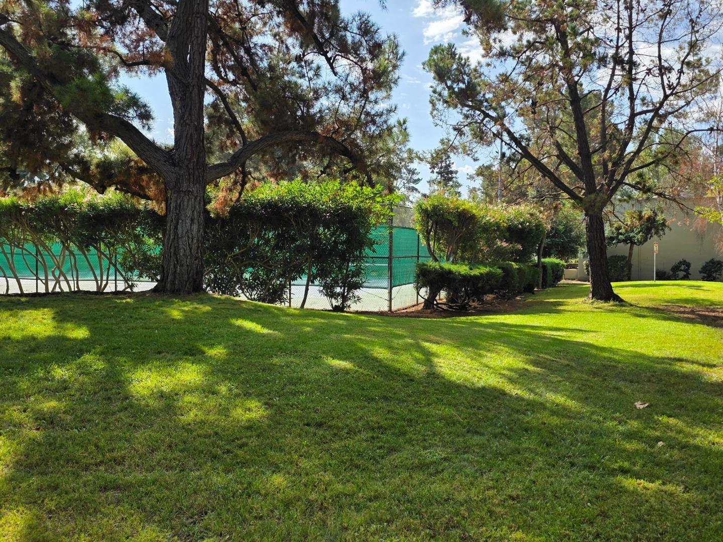 309 Tradewinds Drive, Unit 3 San Jose, CA 95123 - Photo 26 of 34 a view of a park with large trees