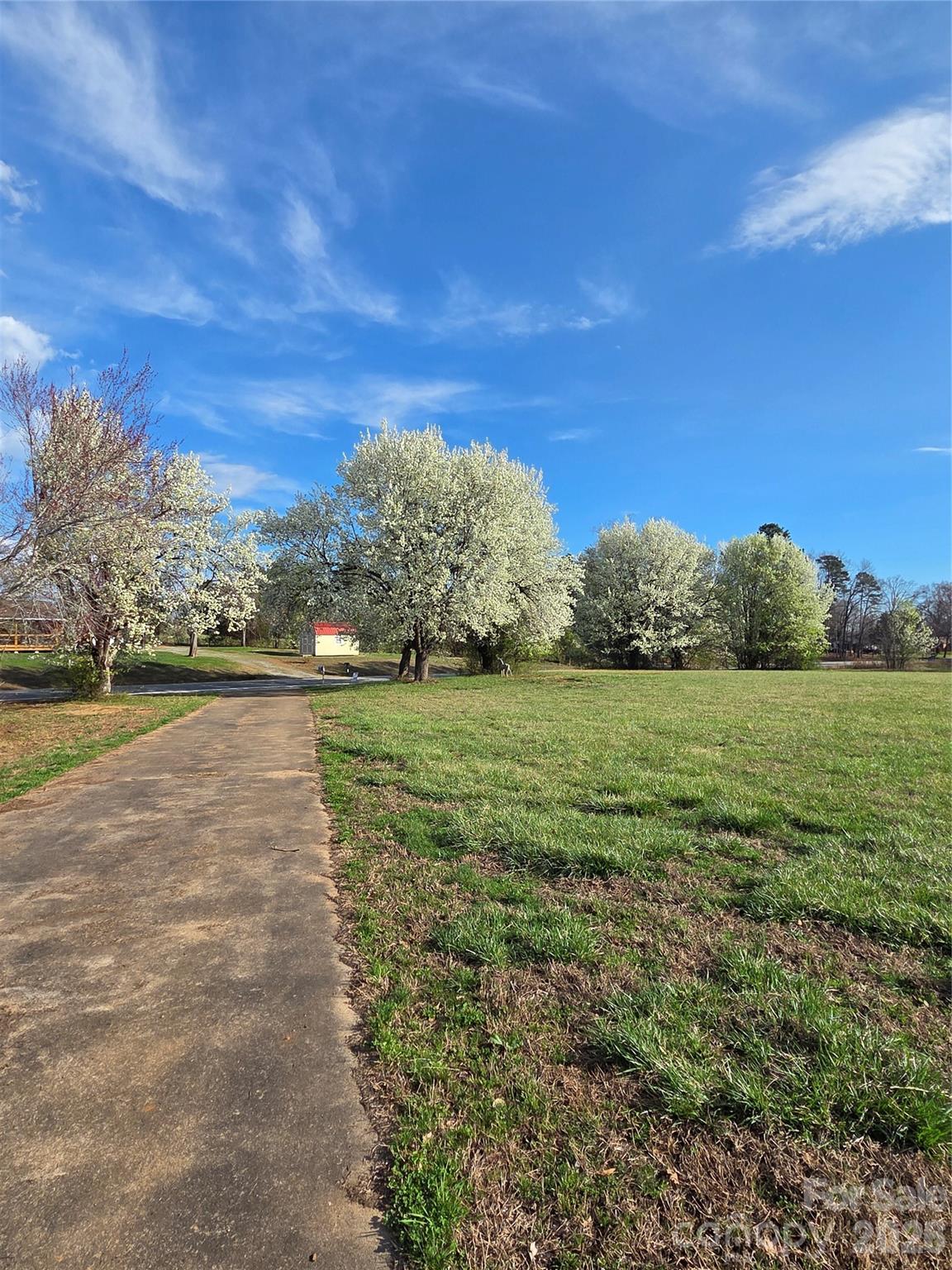 350 Morningstar Lake Road Forest City, NC 28043 - Photo 4 of 29 a view of a grassy field with an trees