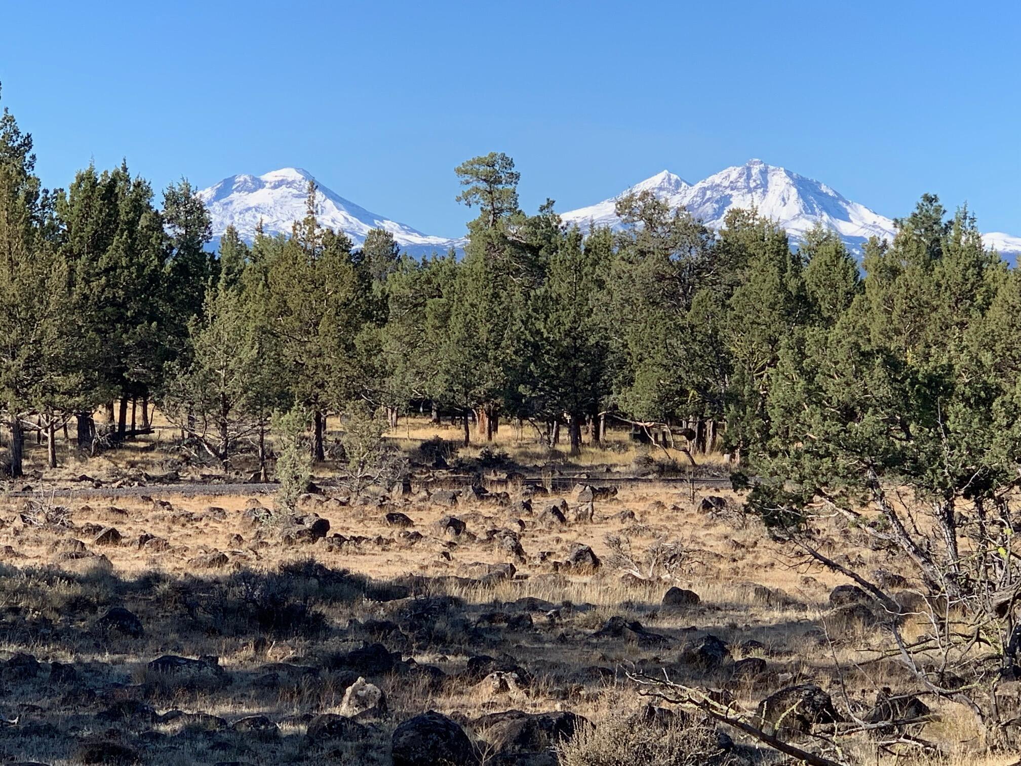 17720 Mountain View Road Sisters, OR 97759 - Photo 9 of 16 9