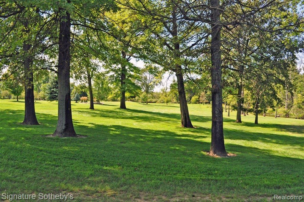 Greenery EVERYwhere