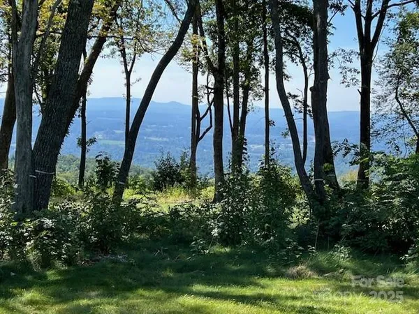 a view of three trees
