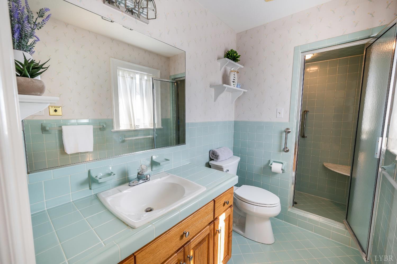 355 Dyson Road Amherst, VA 24521 - Photo 47 of 96 2nd Primary Bathroom