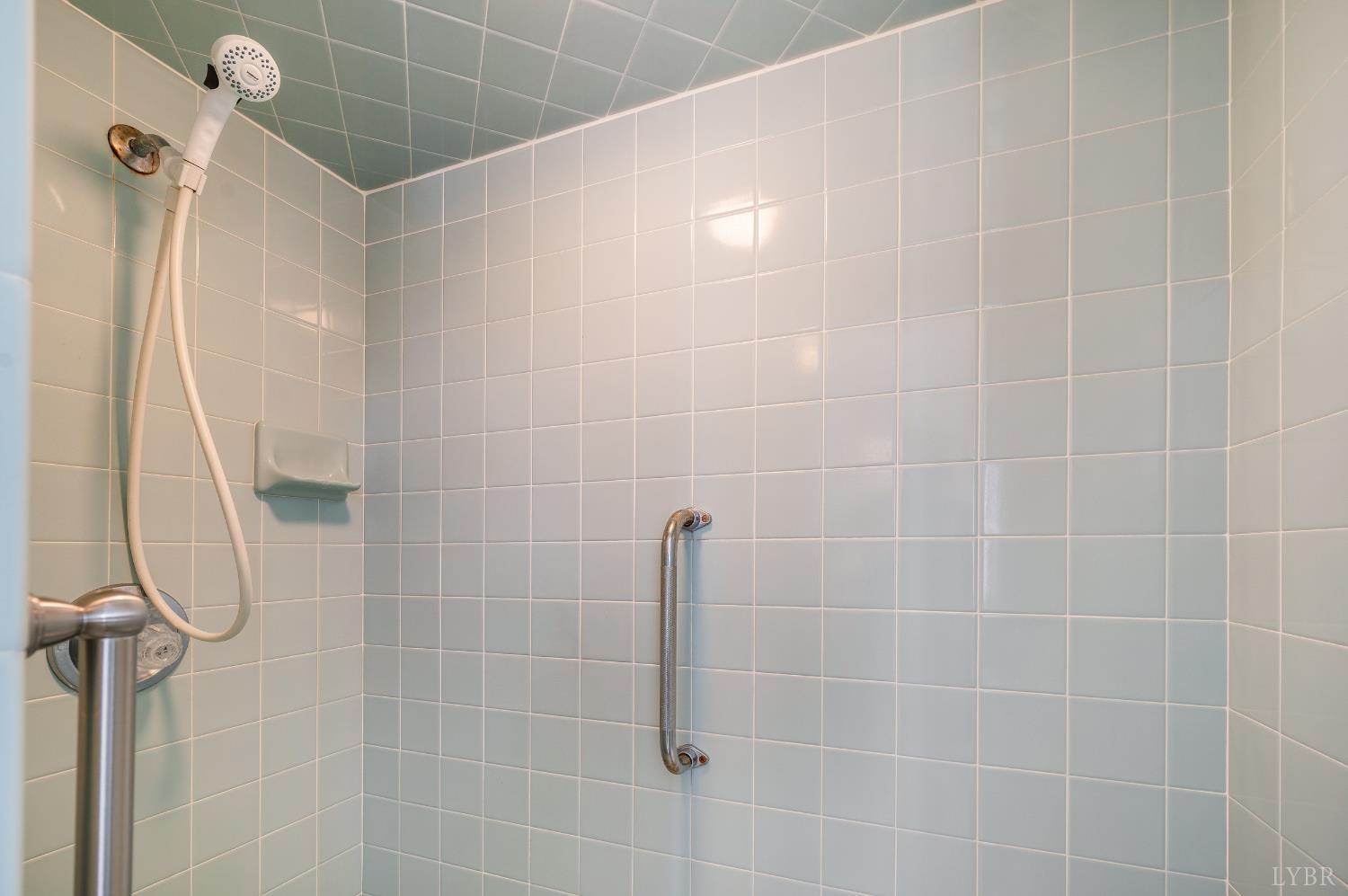 355 Dyson Road Amherst, VA 24521 - Photo 48 of 96 2nd Primary Bedroom with Steam Shower