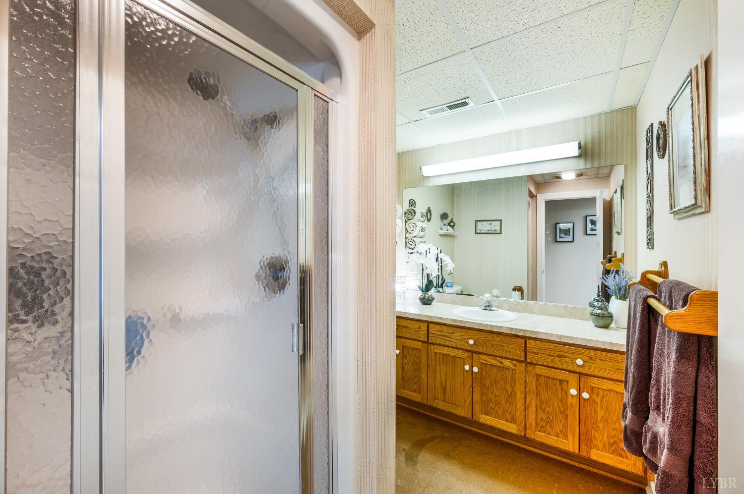 355 Dyson Road Amherst, VA 24521 - Photo 57 of 96 Basement Full Bathroom