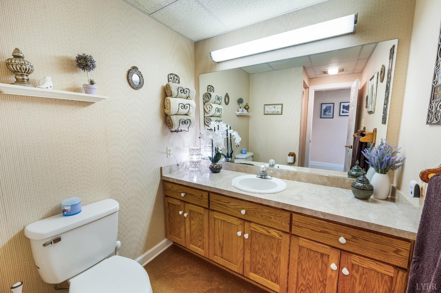 355 Dyson Road Amherst, VA 24521 - Photo 58 of 96 Basement Full Bathroom