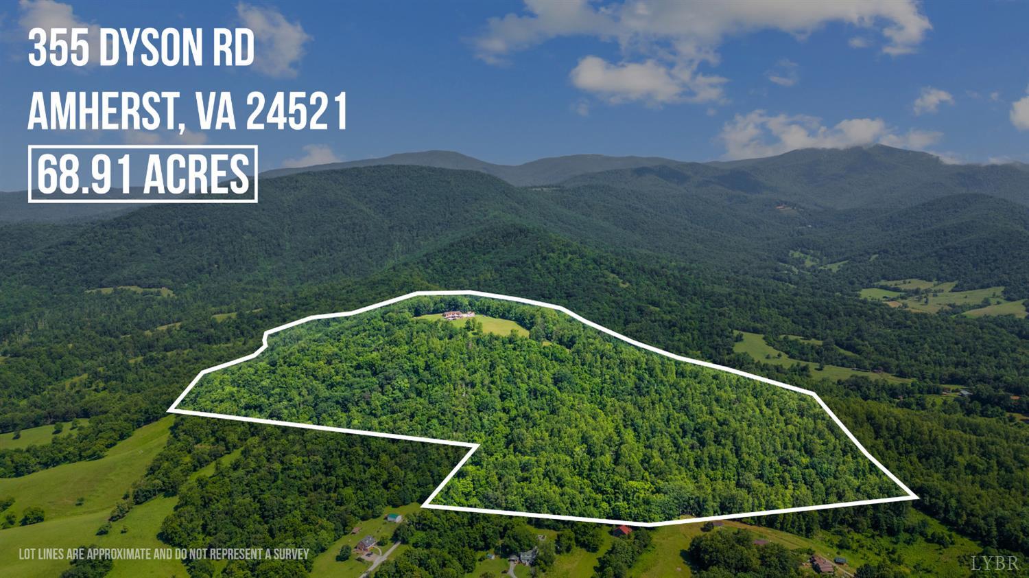 355 Dyson Road Amherst, VA 24521 - Photo 91 of 96 Surveyed Lot Lines of ROUNDTOP