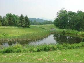 150 Lower Parker Hill Road Springfield, VT 05156 - Photo 7 of 8