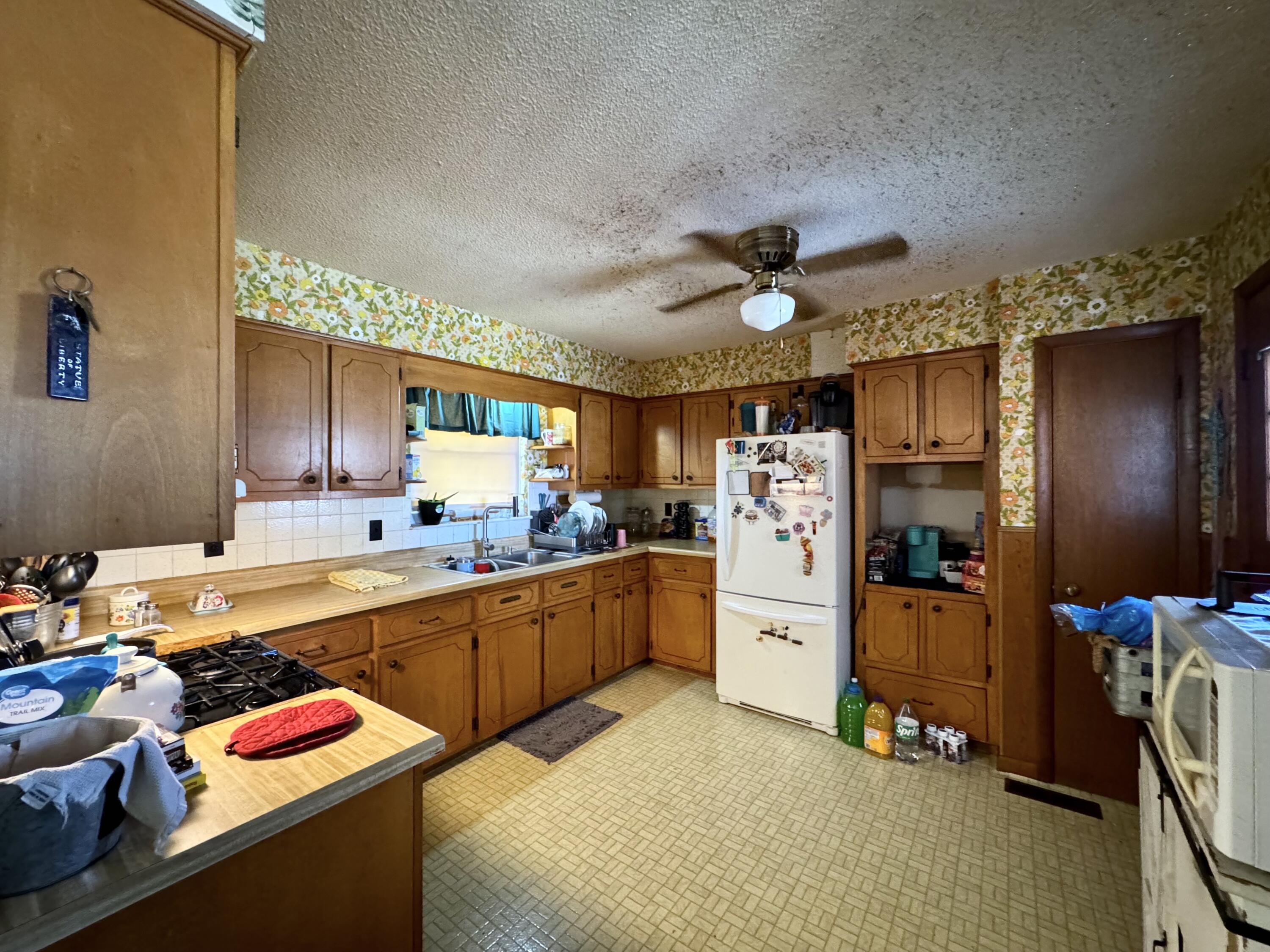 794 Kemmer Road Spring City, TN 37381 - Photo 4 of 16 4- Kitchen 1