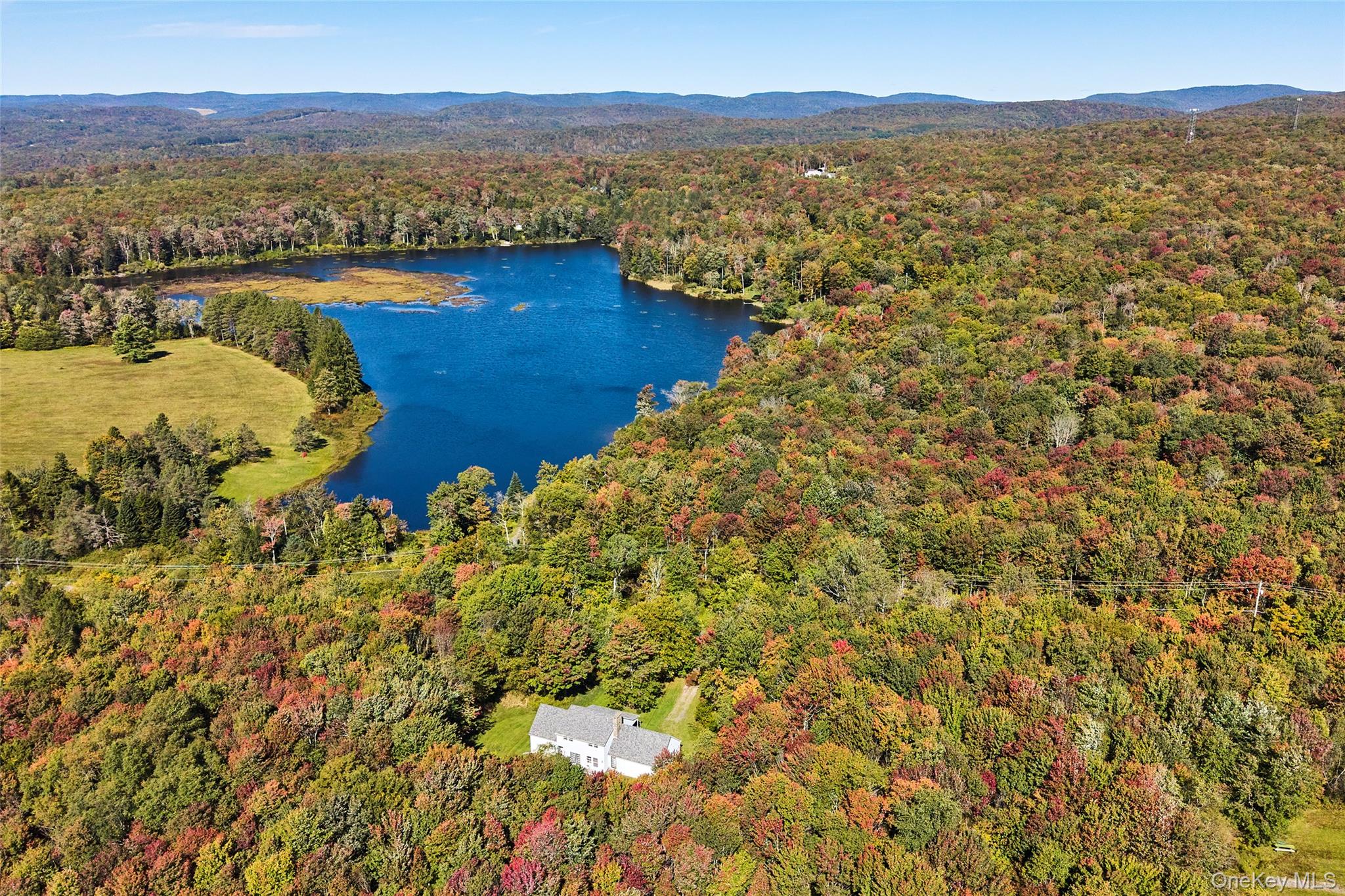 452 White Roe Lake Road Livingston Manor, NY 12758 - Photo 33 of 34 Gallery Image 33