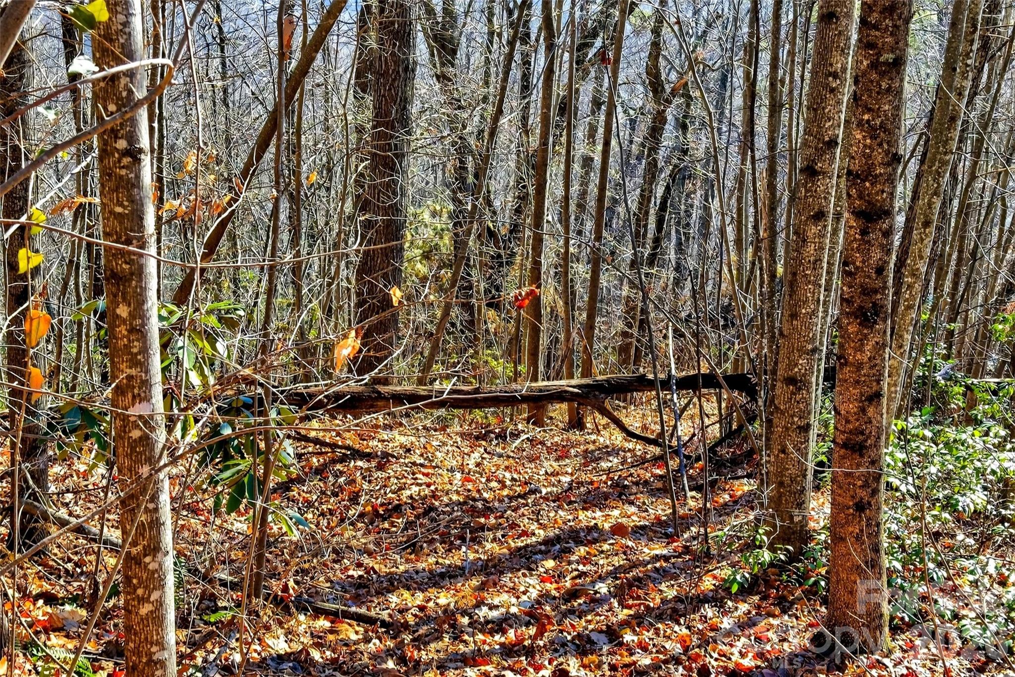 100 Wolf Pen Road Old Fort, NC 28762 - Photo 20 of 43 a view of under construction area
