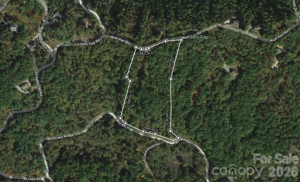 100 Wolf Pen Road Old Fort, NC 28762 - Photo 2 of 43 a view of a forest with a tree