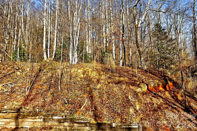 a view of wooden building
