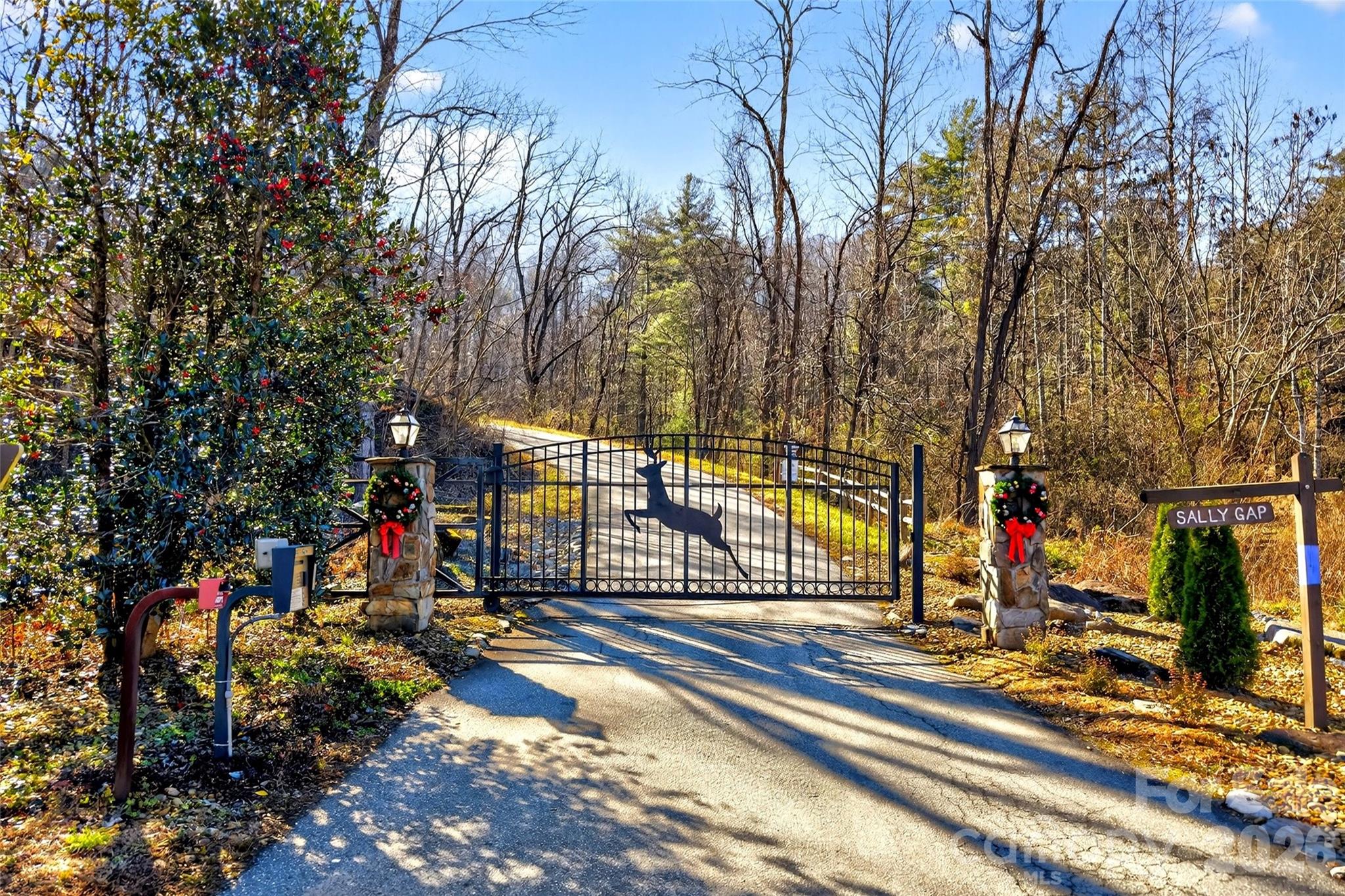 100 Wolf Pen Road Old Fort, NC 28762 - Photo 32 of 43 a view of a park with large trees