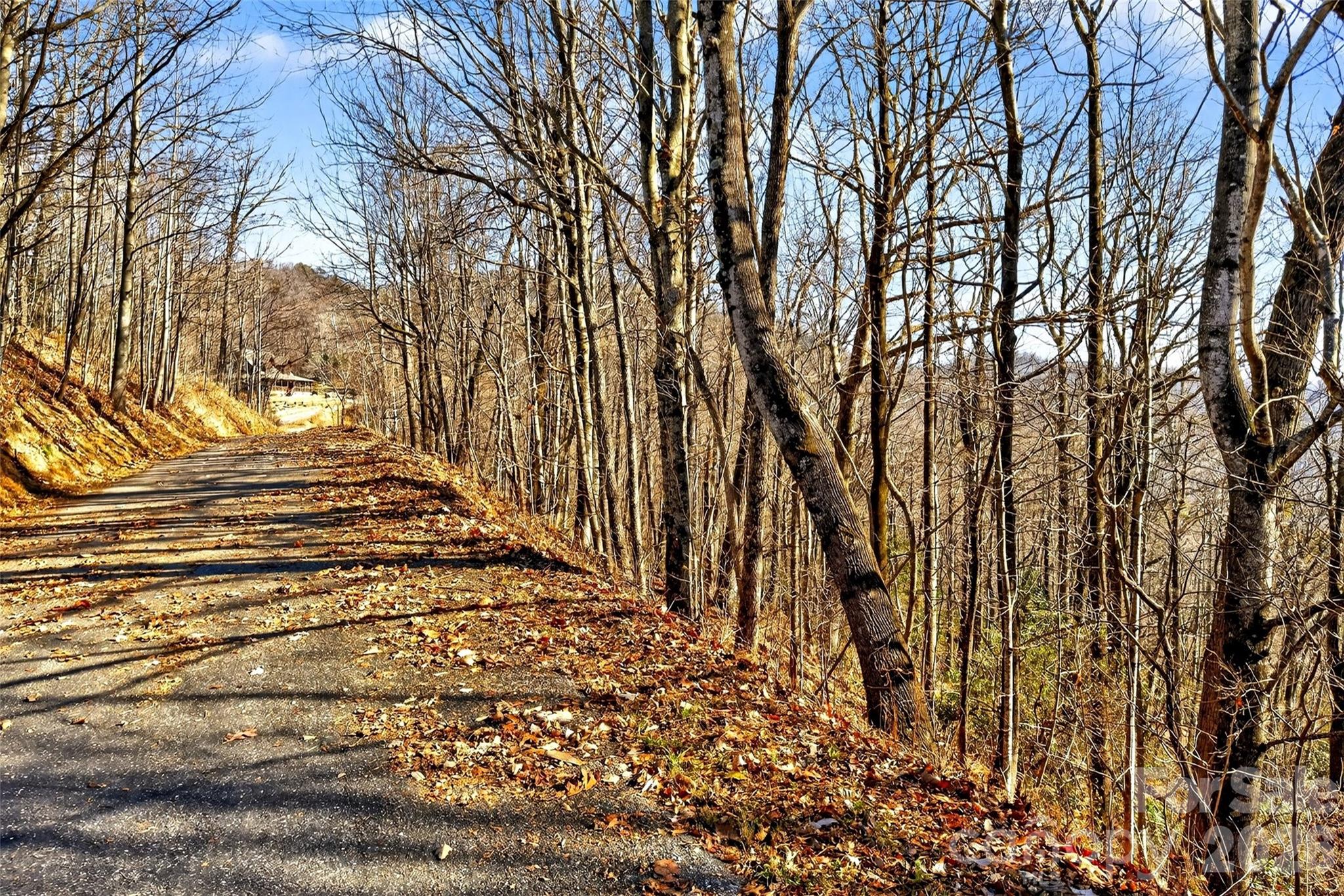100 Wolf Pen Road Old Fort, NC 28762 - Photo 6 of 43 a view of pathway with a tree