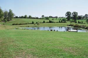 1 Travis Road Taylorsville, KY 40071 - Photo 1 of 1 Primary Photo