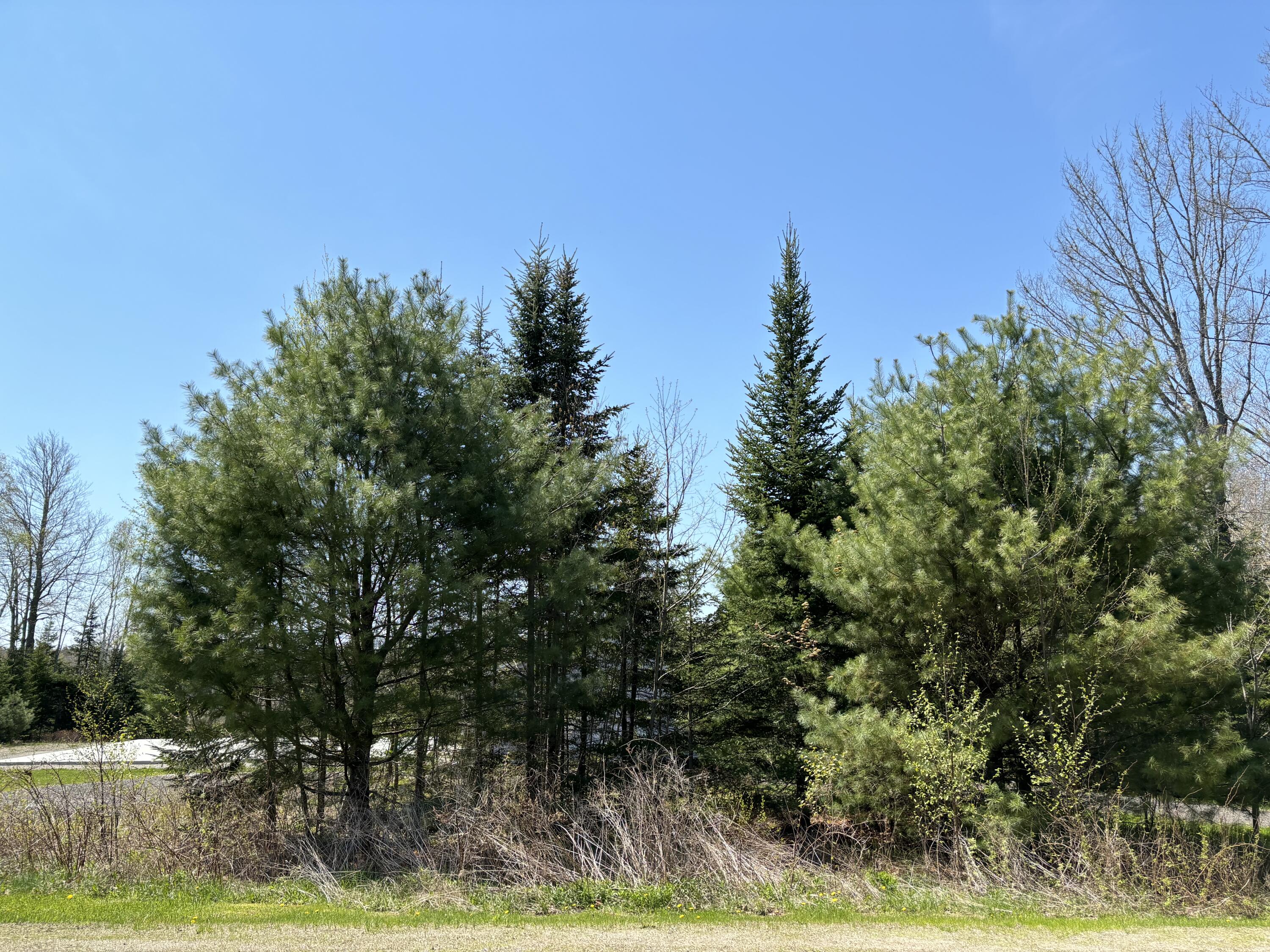 22 Sawblade Road South Thomaston, ME 04858 - Photo 7 of 7 IMG_1760