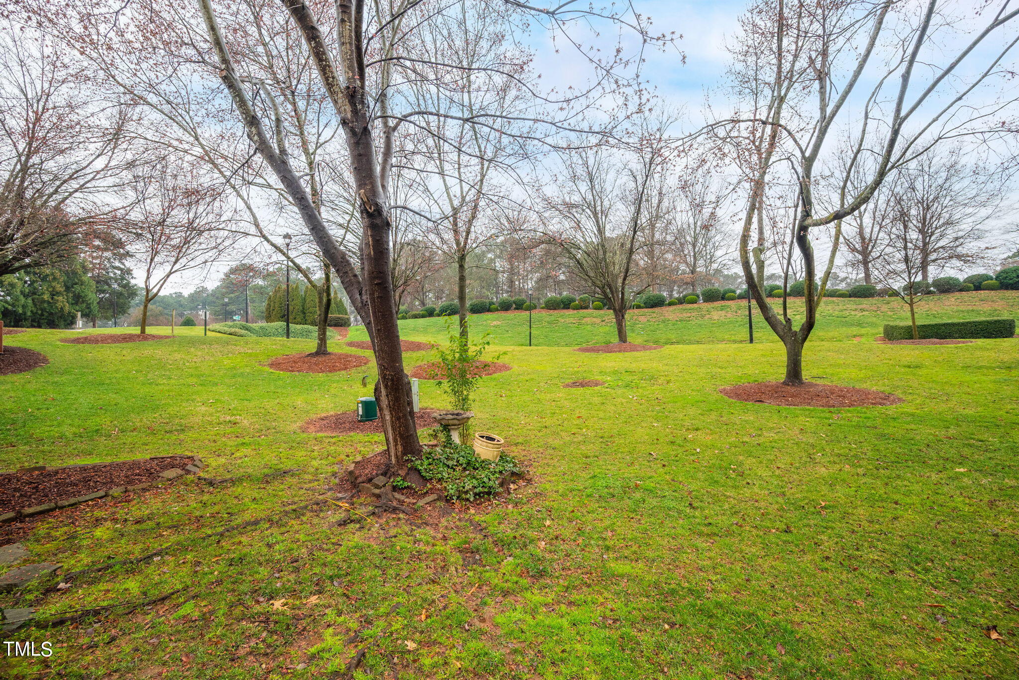5326 Goldenglow Way Raleigh, NC 27606 - Photo 39 of 41 11-web-or-mls-5326-goldenglow-way