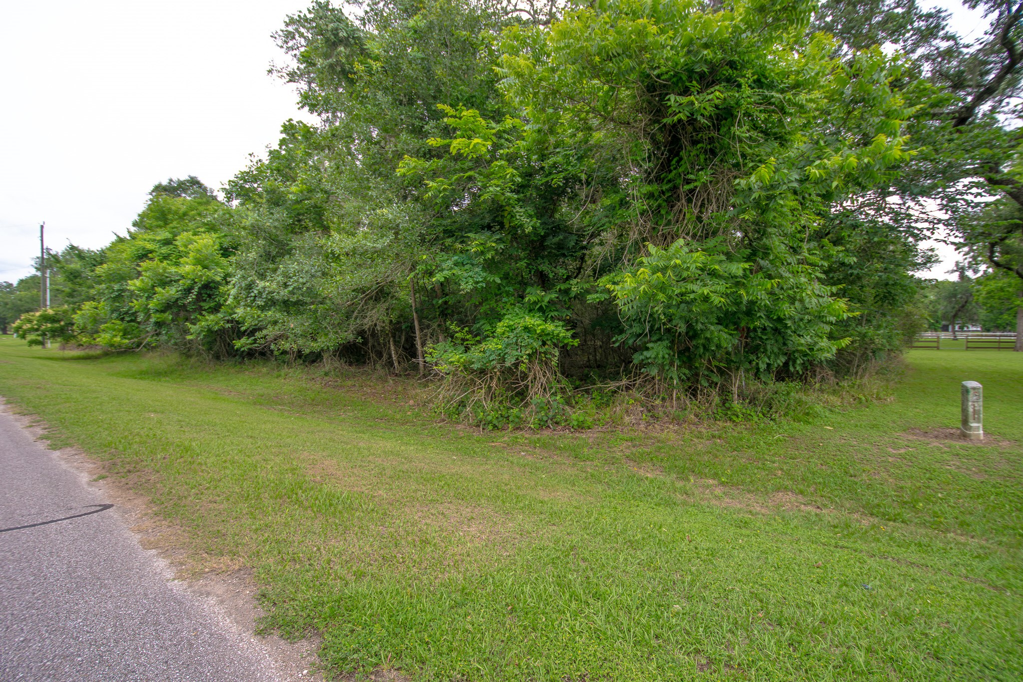 1015 West Point Drive Rosharon, TX 77583 - Photo 8 of 8