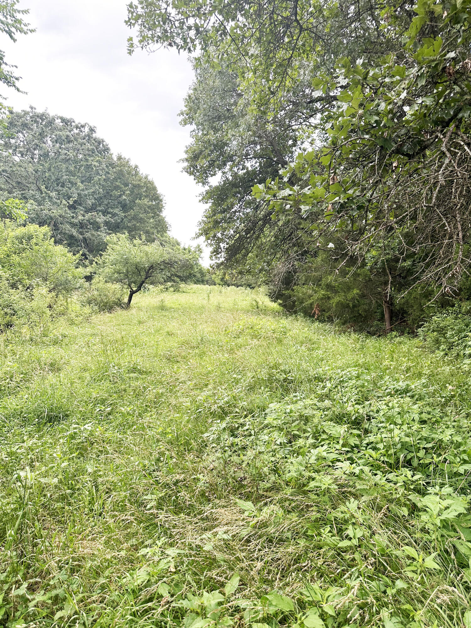 73 Gamble Road Billings, MO 65610 - Photo 23 of 31 IMG_4378-a