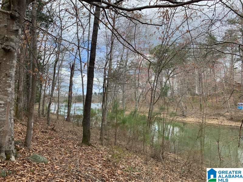 0 Long Point Road, Unit 156/157 Double Springs, AL 35553 - Photo 2 of 6