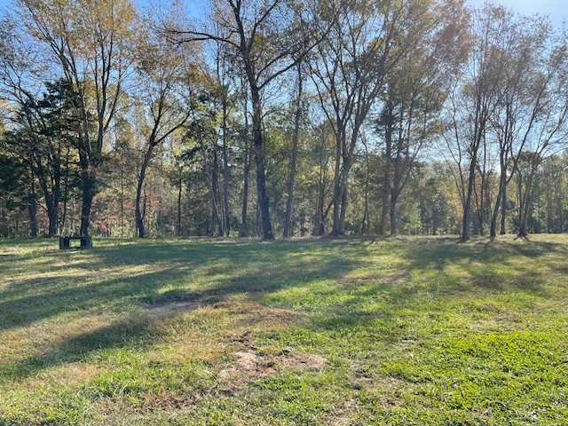 7 Riley Creek Road Normandy, TN 37360 - Photo 1 of 1 a view of a trees in a yard