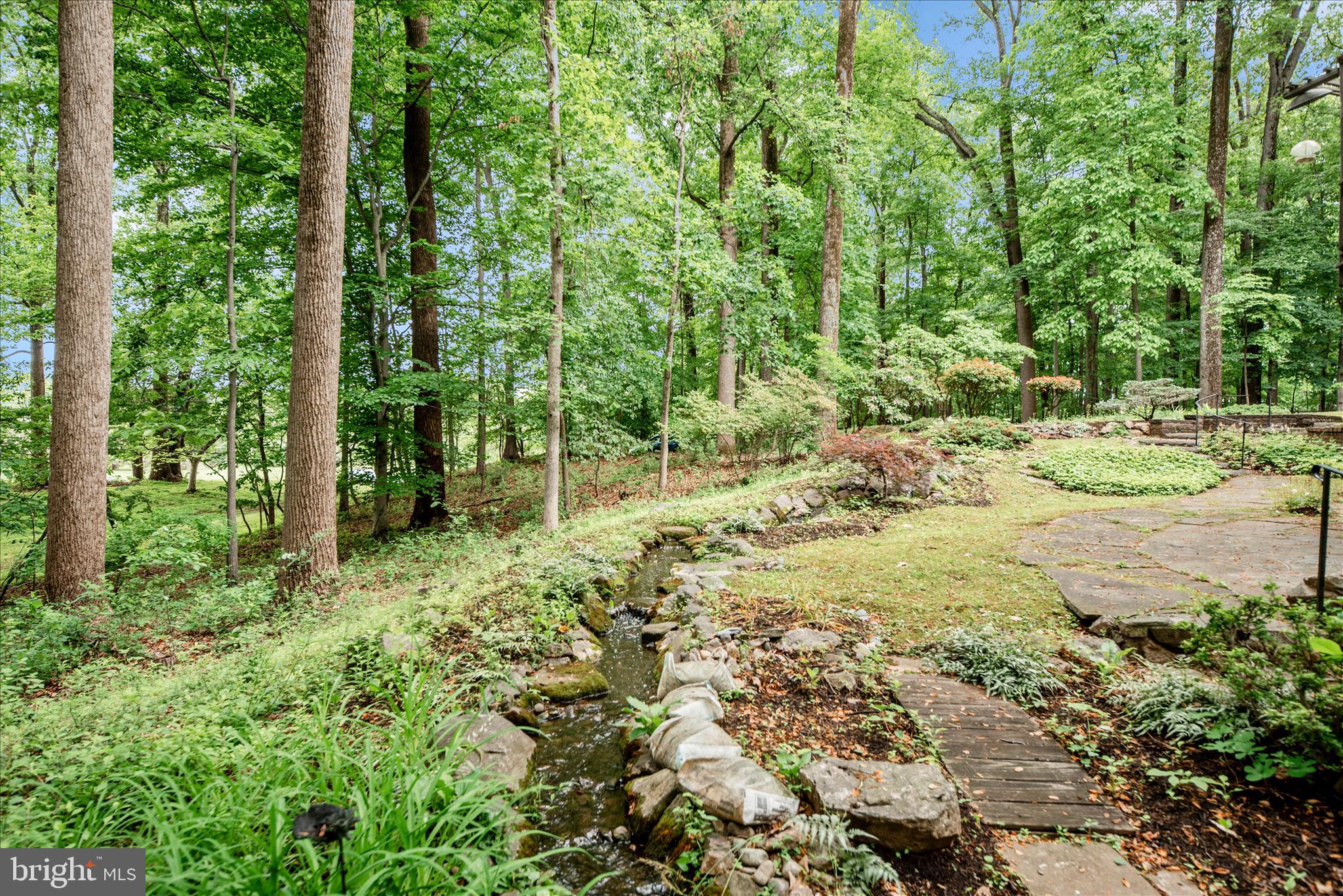 2221 Gold Mine Road Brookeville, MD 20833 - Photo 48 of 60 a view of a yard with plants and large trees