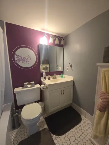 a bathroom with a toilet a sink and mirror