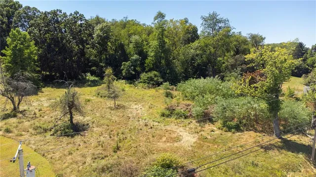 a view of a yard with trees