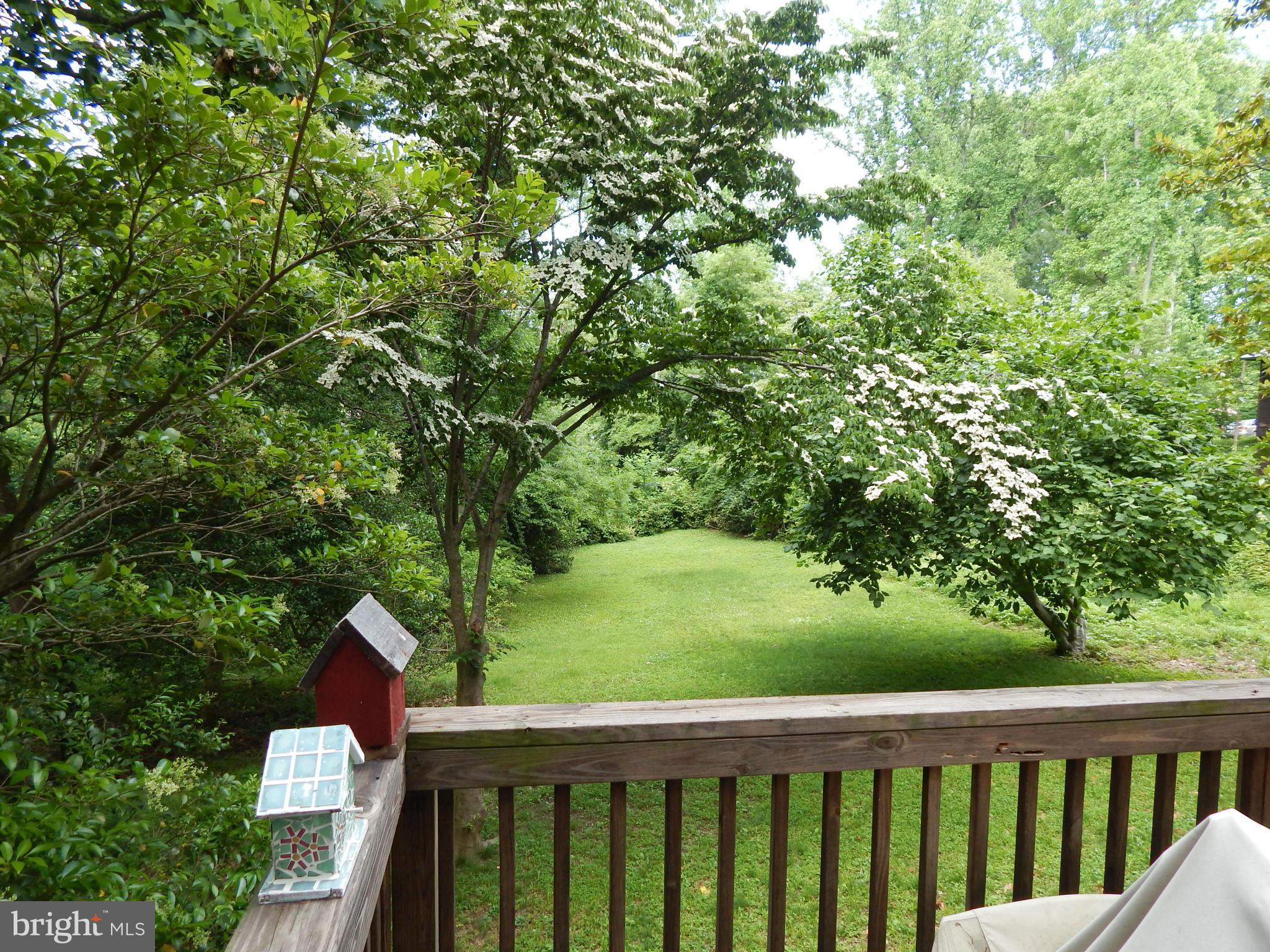2387 Acacia Road Port Republic, MD 20676 - Photo 2 of 20 View of double lot