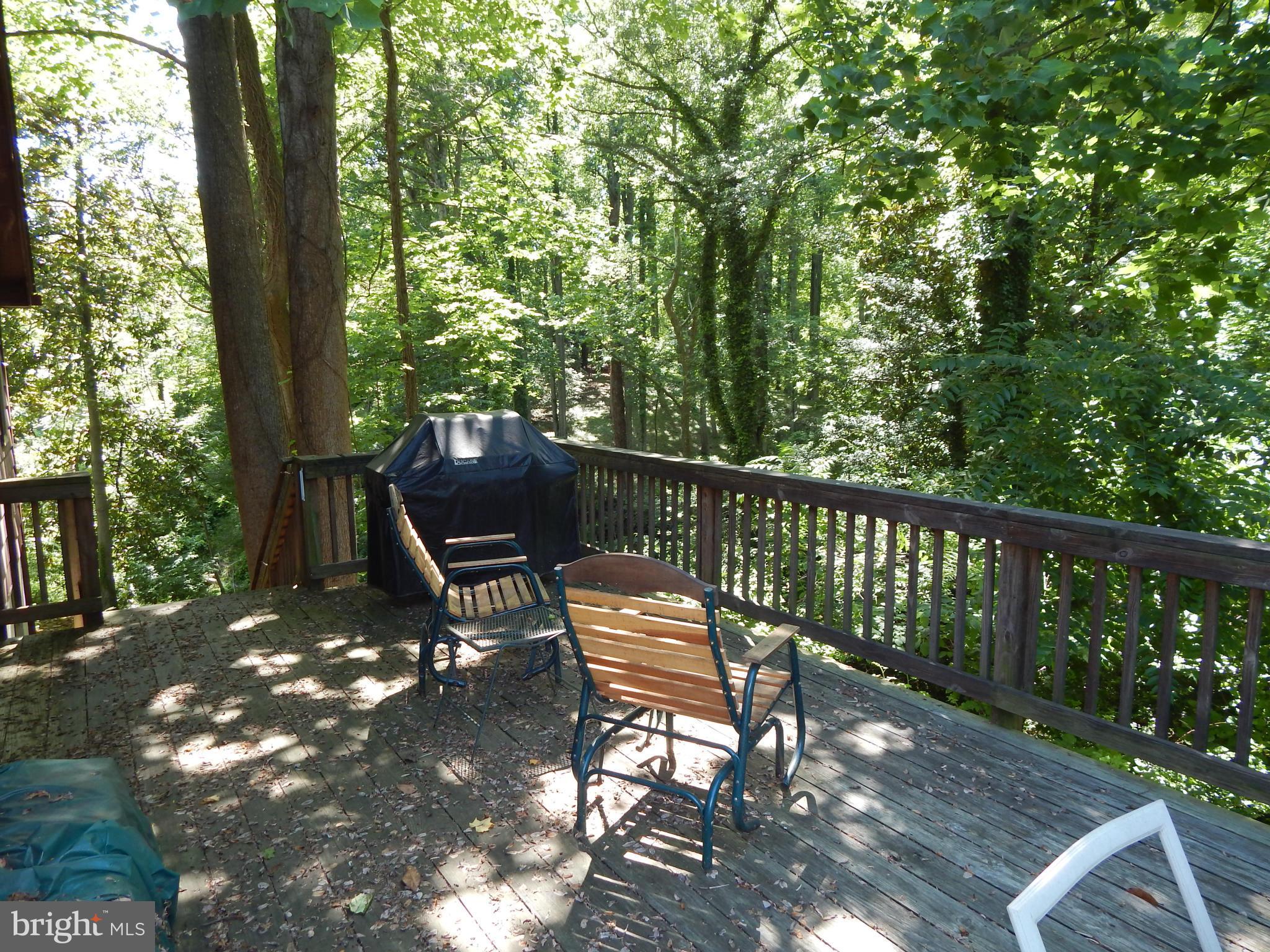 2387 Acacia Road Port Republic, MD 20676 - Photo 16 of 20 Exterior (Rear) view of woods