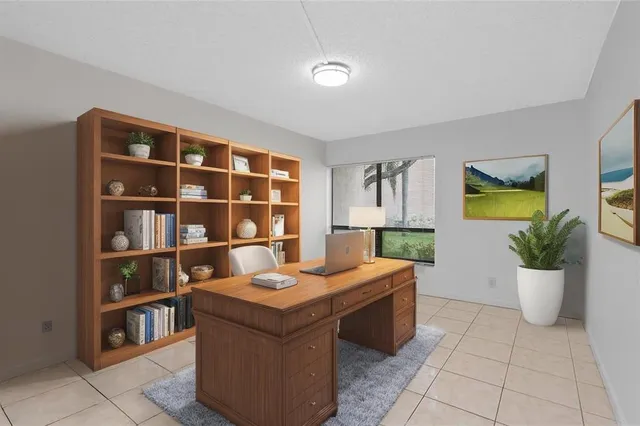 a living room with a couch and a potted plant